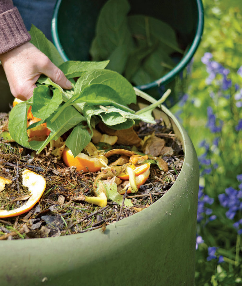 The Square Economy: How Reusing and Recycling Can Create a More Sustainable World