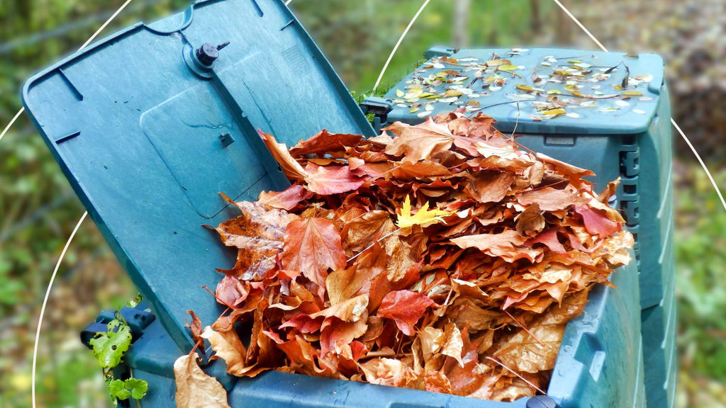 Leaf Composting: Everything You Need to Know – Sepura Home